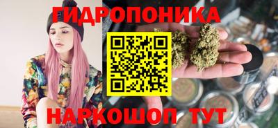 стаф Бердск