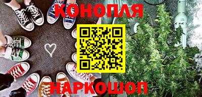 стаф Бердск