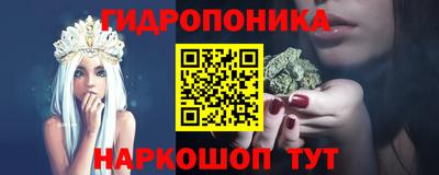 крисы Аша