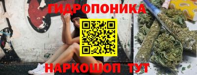 крисы Аша