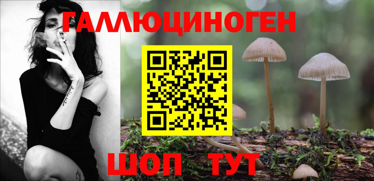 Сибай  Галлюциногенные грибы GOLDEN TEACHER  Вход с VPN 